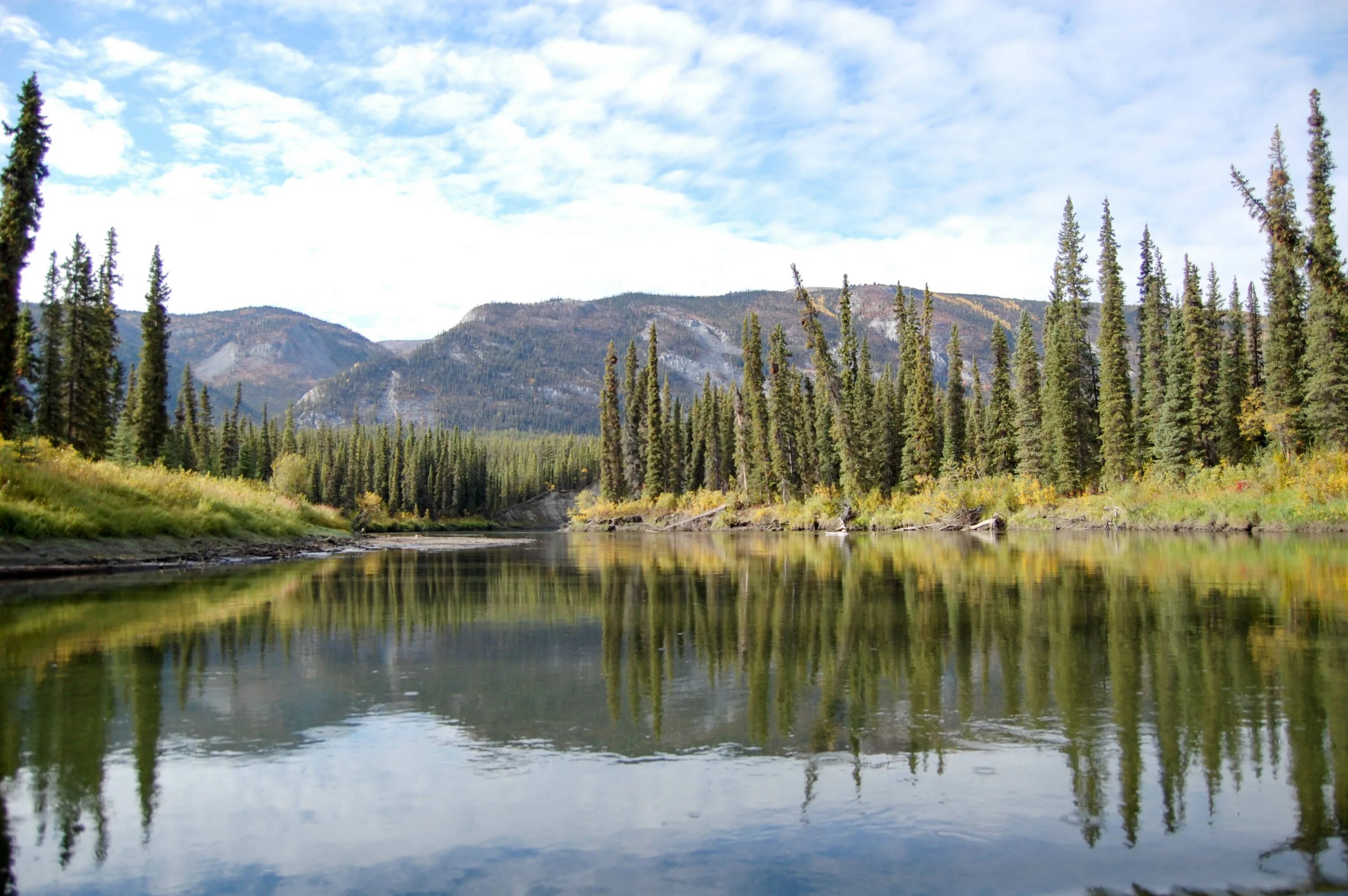 Снедж, юкон, канада. Река юкон. Юкон канада. Сайт юконы. Устье реки юкон.