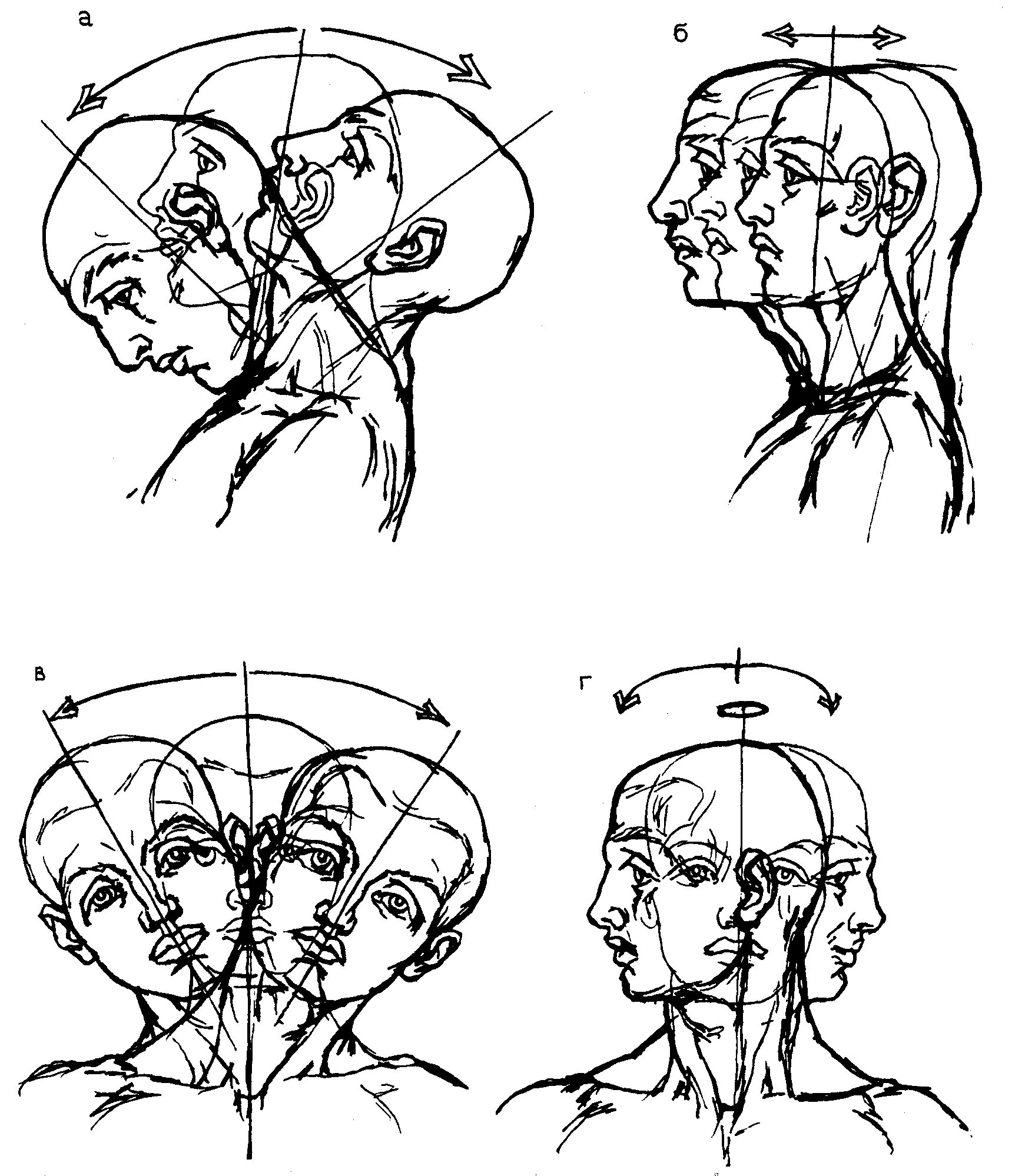 Положение затылка. Пропорции шеи и головы человека. Человеческая голова рисунок. Рисование головы и шеи. Схема построения головы.