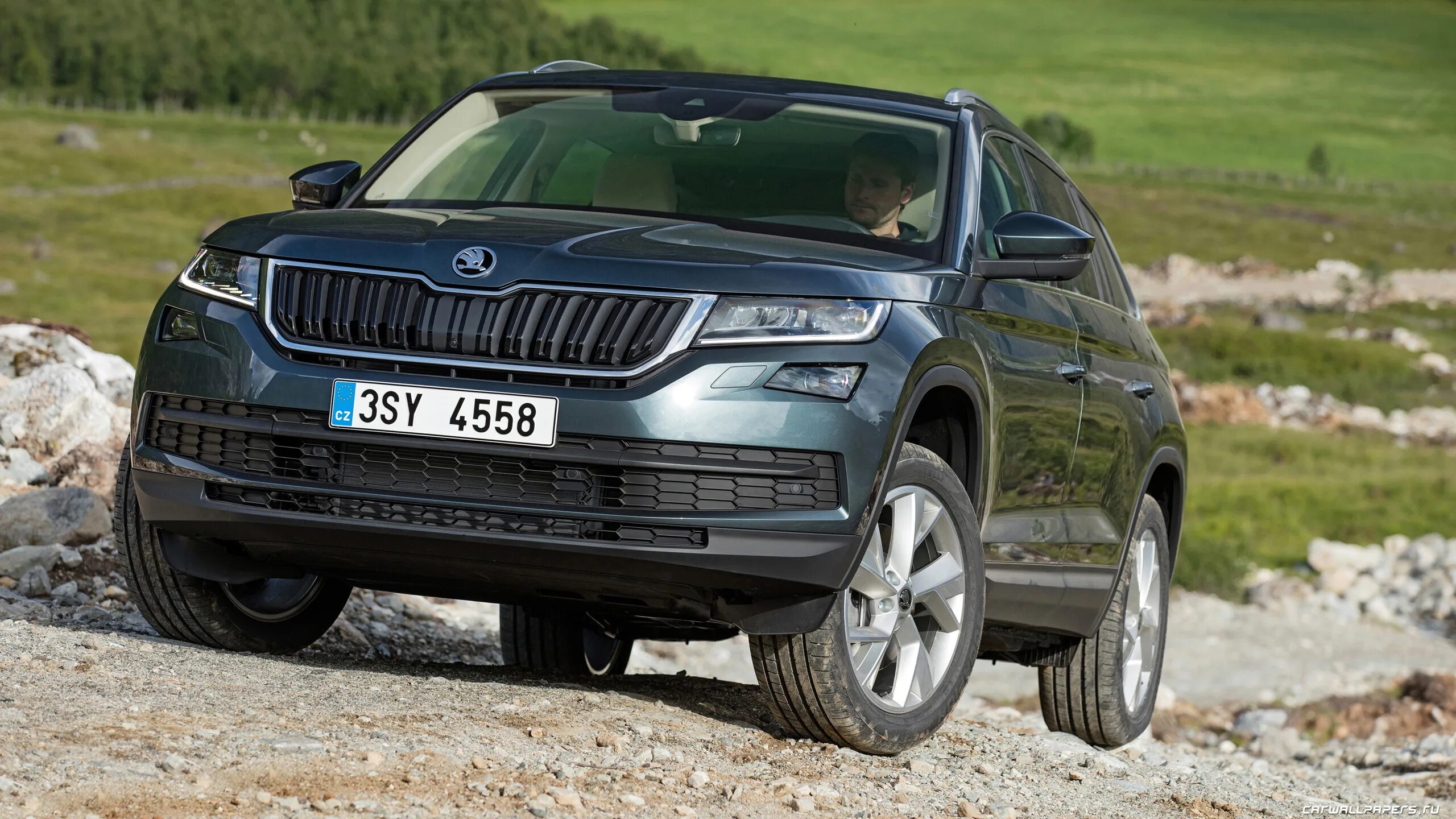 Skoda kodiaq 2018. машина skoda kodiaq. шкода кодиак 2018. Skoda kodiaq 4x4. Skoda kodiaq 2018.