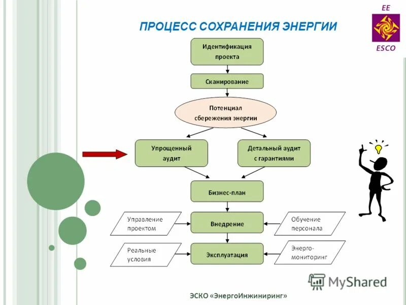 Процесс сохранения и организации опыта. Процесс сохранения и организации опыта
