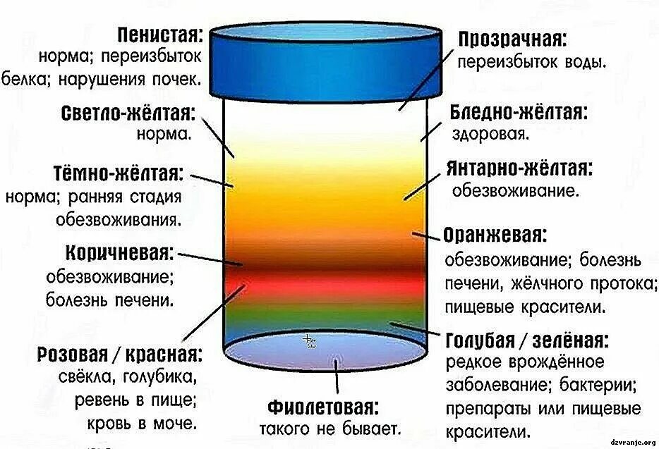 Что делать если моча пахнет. Тёмно жёлтая моча у мужчин причины. Цвет мочи норма. Моча нормального цвета. Narmalni Cvet machi.