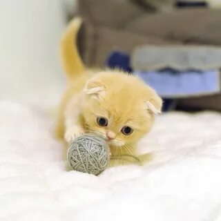 Ми ми самому