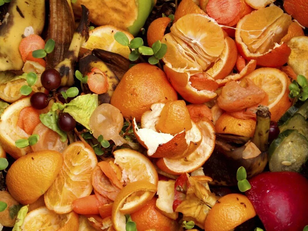 Пищевые отходы кухонь. Пищевые отходы. Кожура овощей и фруктов. Отходы от овощей и фруктов. Овощные и фруктовые отходы.