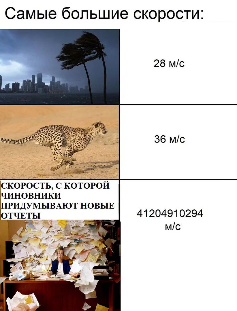 Статусы бухгалтеров. Шутки про бухгалтерию. шутки про бухгалтеров. приколы про бухгалтеров смешные. мемы про бухгалтерию.