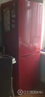 Атлант красный