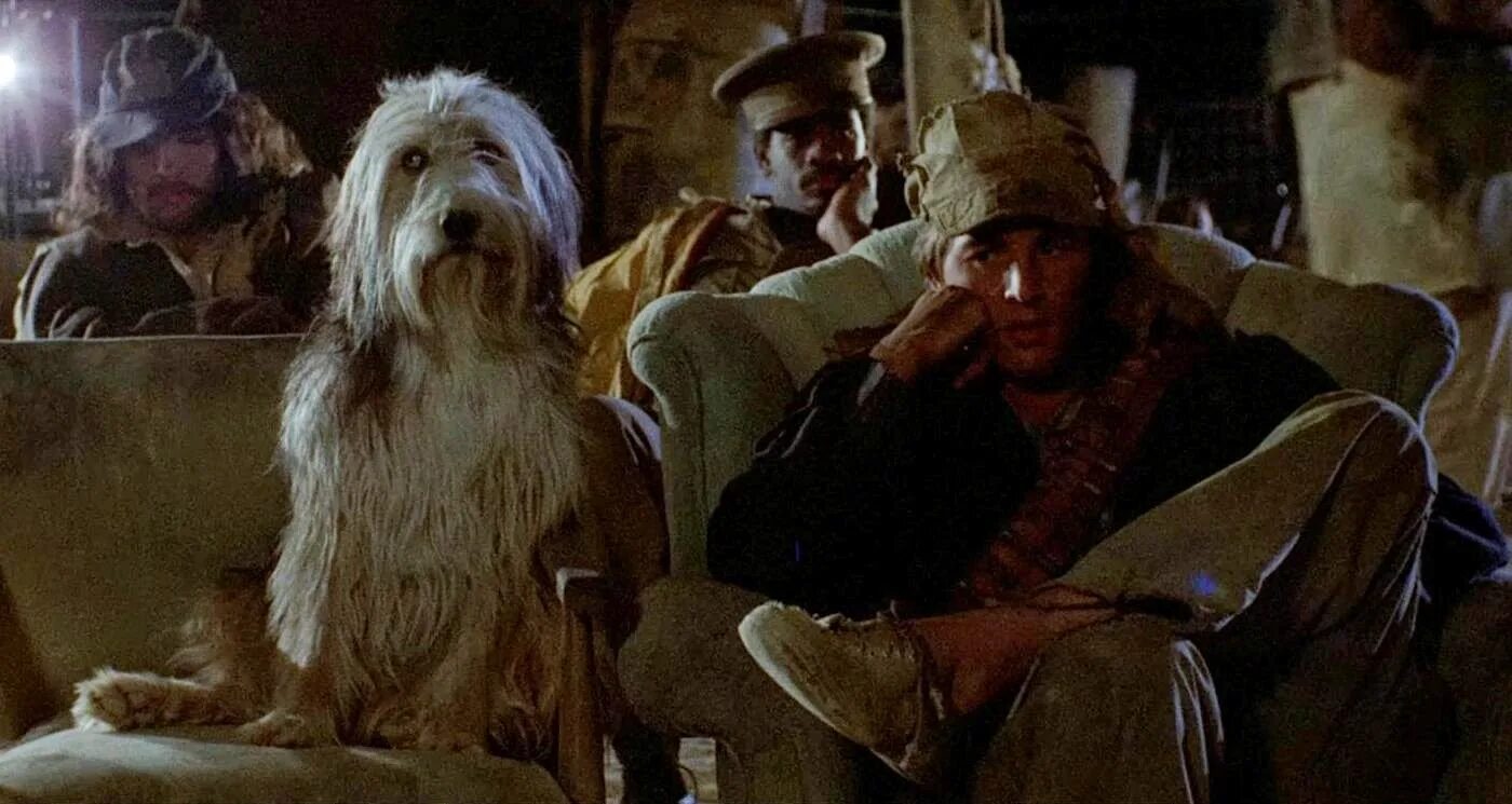 The boy is his dog. The boy is his dog. The boy is his dog. The boy is his dog. A boy and his dog.