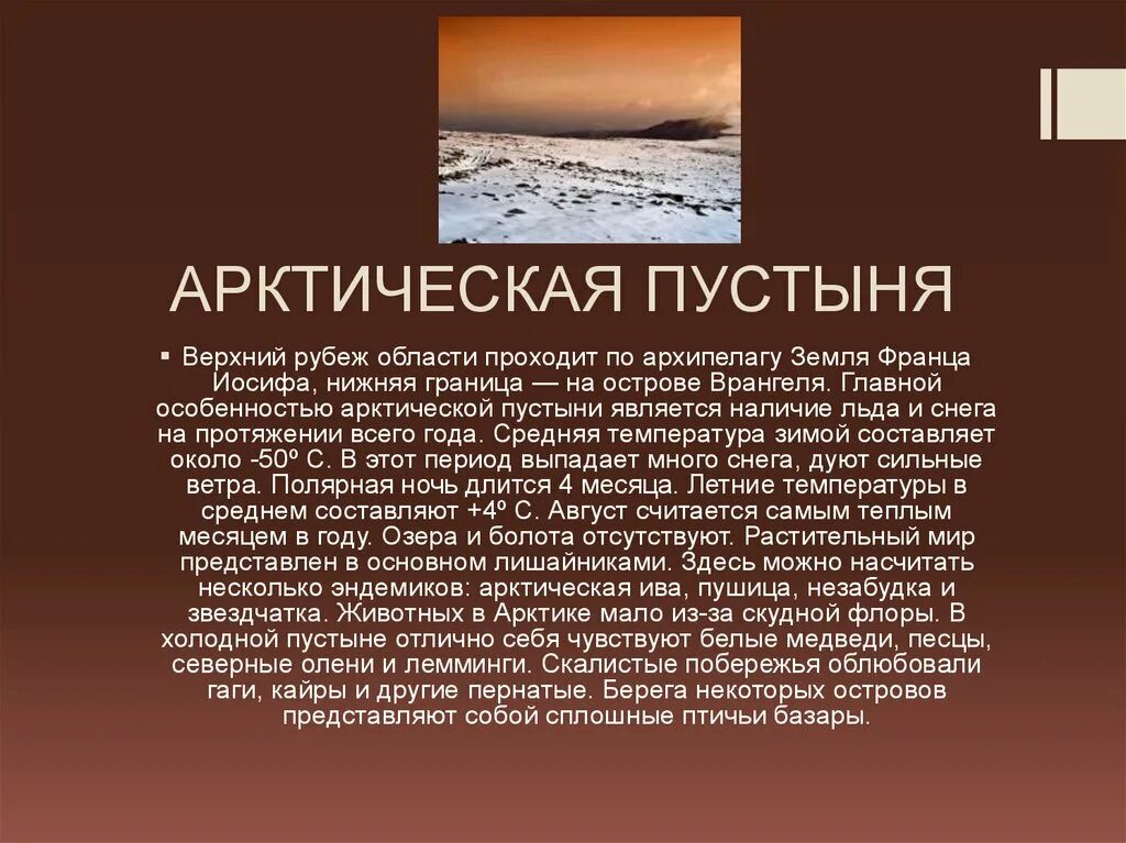 Архипелаги в зоне арктических пустынь. Факты о Арктике. Интересные факты об Арктике. Арктическая пустыня интересные факты. Интересные факты о арктических пустынях.