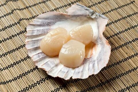 Гребешок белого моря