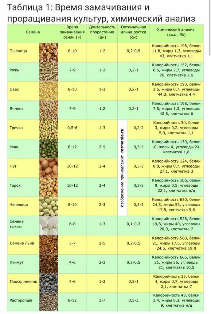 Семена время работы. Таблица прорастания микрозелени пшеницы. Замачивание семян для проращивания таблица. Энергетическая ценность пророщенной пшеницы. Таблица всхожести семян микрозелени.