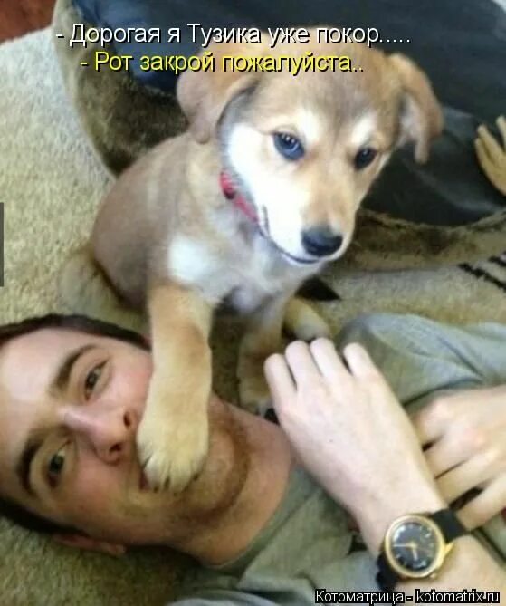 Аскар лох. Рот закрой пока я говорю. Пожалуйста закрой рот. Кот водички принеси. Закройте рот.