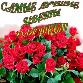 Самой яркой девушке на свете