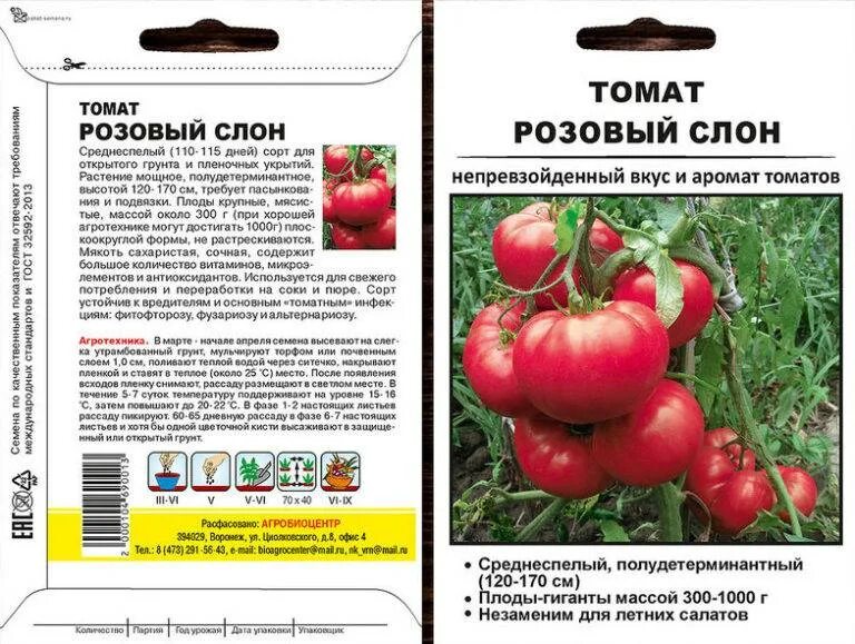 Помидоры слон описание сорта. Томат розовый слон 20шт. томат розовый слон f1. сорт помидор малиновый слон. розовый слон томат рассада.