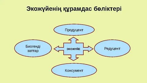 Өзбек sanatkori munisa rizaevani sexy