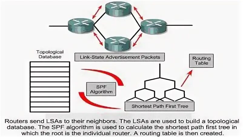 Link state. Link State протоколы. Link-State update.