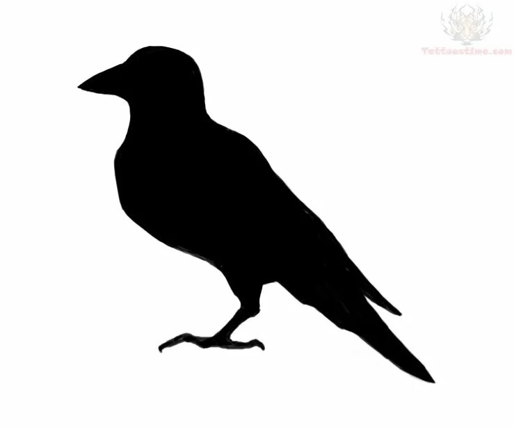 Шаблон ворона для вырезания из бумаги Crow Stencil Designs from Stencil Kingdom Animal stencil, Crows drawing, Crow