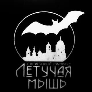 Летучая мышь выборг