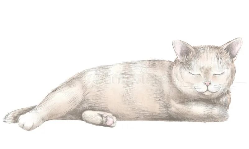 Как нарисовать лежащую кошку