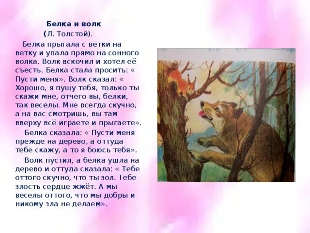 Лев Николаевич толстой басня белка и волк. Сказка Толстого л.н. волк и белка. Сказки Льва Николаевича Толстого белка и волк. Рассказ белка и волк толстой.