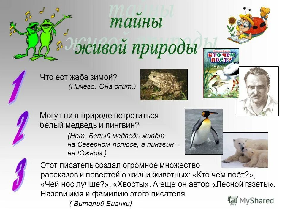 Белые медведи и пингвины не встречаются. Белый медведь и пингвин. Белый медведь и пингвин пингвин. Могут ли встретиться белый медведь и пингвин. Могут ли встретиться белый медведь и пингвин.