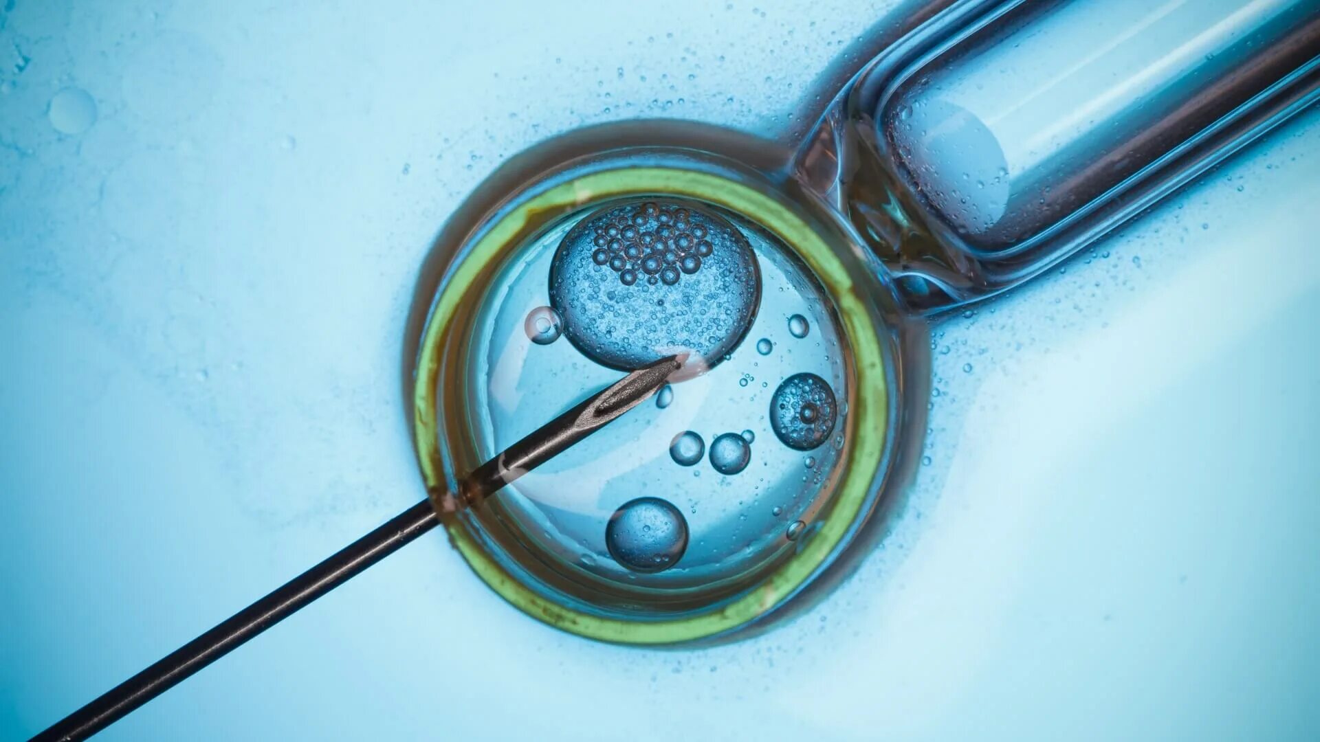 Как называется искусственное оплодотворение. Оплодотворение яйцеклетки in vitro. эко экстракорпоральное оплодотворение. хетчинг эмбрионов. оплодотворение ин витро.