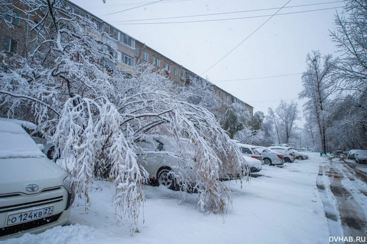 Хабаровске выпал снег. Снегопад в Хабаровске. Хабаровск зима. Сугробы в Хабаровске. Запорошило снегом.