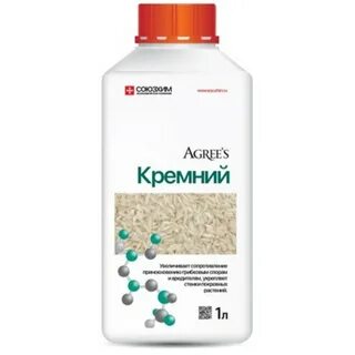 Кремний брянск отзывы