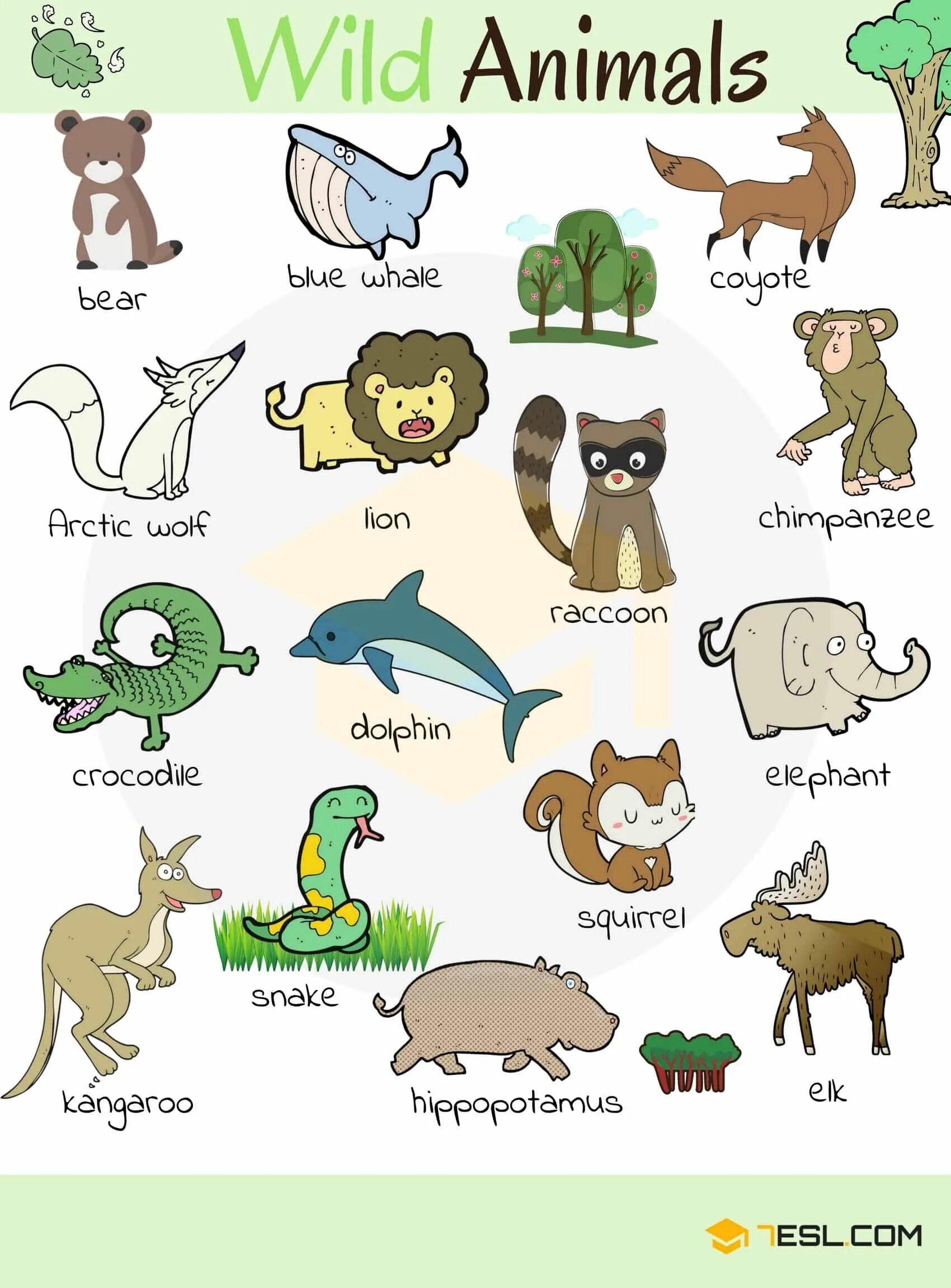 Имя animals. Животные на английском для детей. Домашние животные на английском для детей. Животный Ена английском. Названия животных на английском для детей.