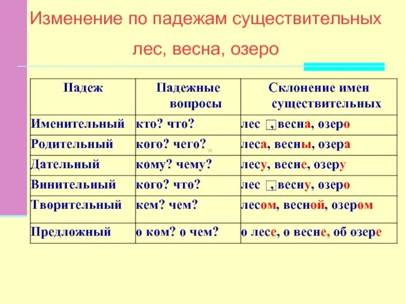 Склонение изменение по падежам имен существительных. Склонение имени и изменения по падежам имён существительных. Род число падеж существительных склонение имен существительных. Изменение имён существительных по падежам. Дремучий какой падеж