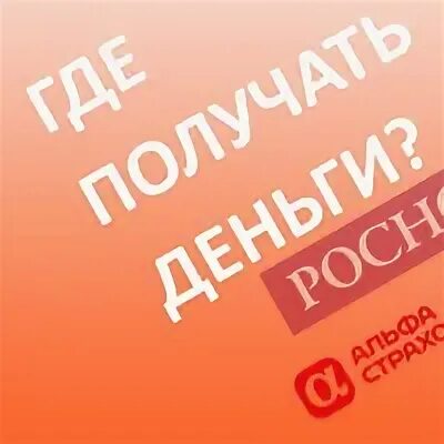 Эксперт 24
