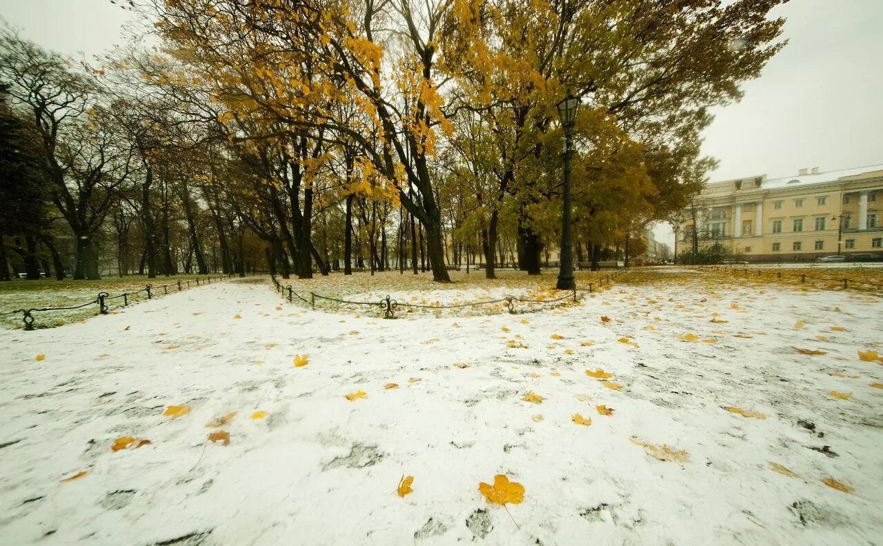 Снежка осенью