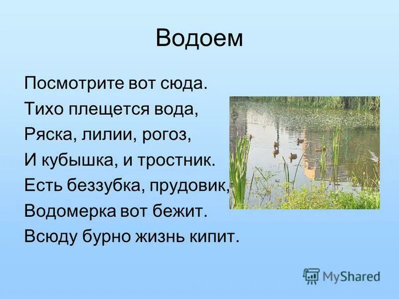 Тихо плещется вода. Тихо плещется вода песня. Презентация на тему водоемы. Тихо плещется вода. Путешествие капельки.