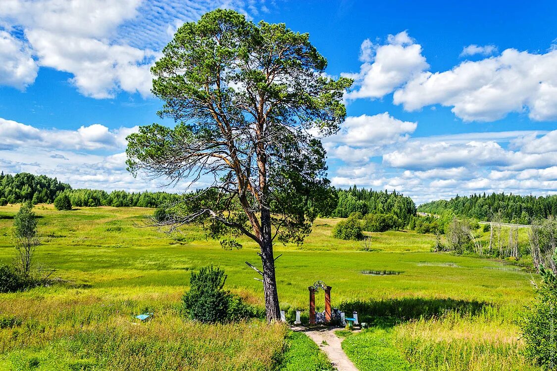 Природа Карагая Пермский край. Сосновый Бор Карагай Пермский край. Карагай достопримечательности. Село Карагай Пермский край достопримечательности. Погода карагай пермский край на 14