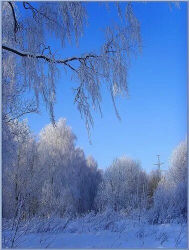 Бунин ещё и холоден и сыр февральский воздух. Бунин ещё и холоден и сыр февральский воздух. Февральский воздух. Весна лазурный небосклон. Небо весной.