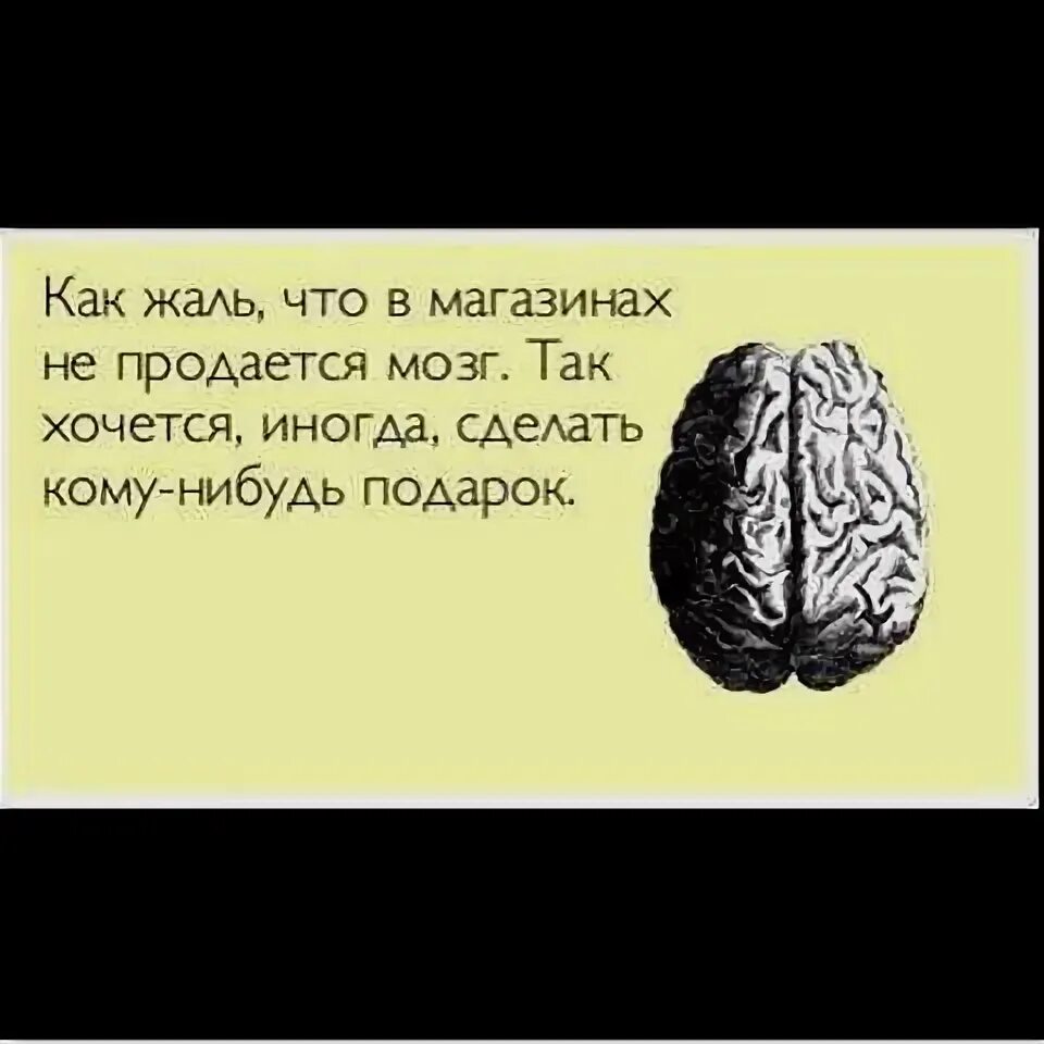 Ты такой прекрасный жалко. Фразы про отсутствие мозга. Статус про мозги. Статус про мозг.