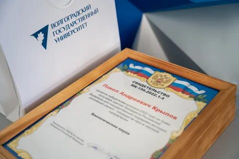 Государственная стипендия студентам в 2024 году