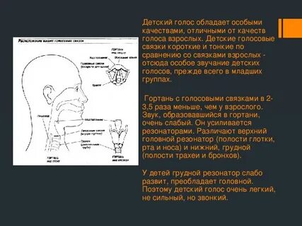 Голос обладает