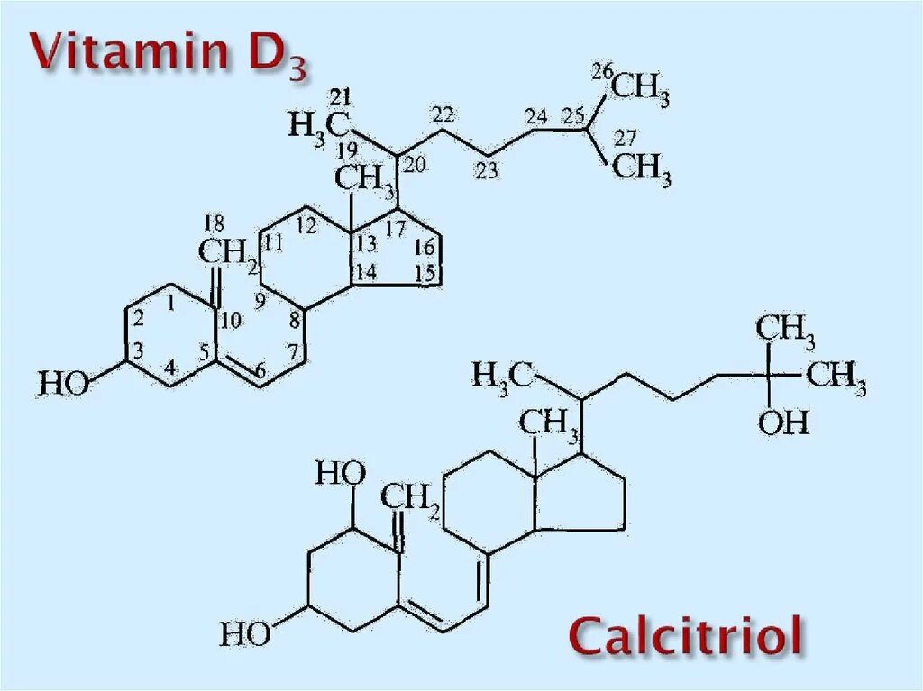 Кальцитриол цена. Схема синтеза кальцитриола из витамина д3. Схема синтеза кальцитриола. Кальцитриол витамин д. Химическая природа кальцитриола.