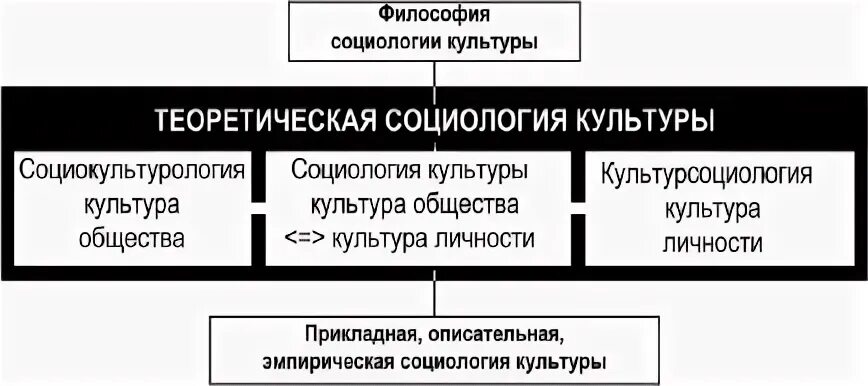 Социология философия