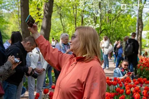 Праздник тюльпанов на елагином острове 2024