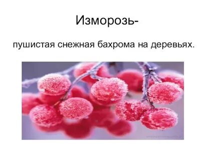 Опушенный инеем