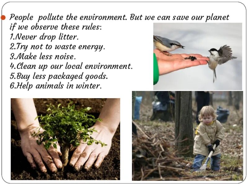 The environment is us. Save our planet презентация. проект save our environment. what should we do to save our planet. help-save-the-environment.