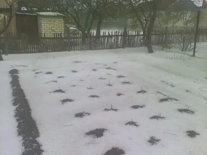 Погода погар брянской на 3 дня