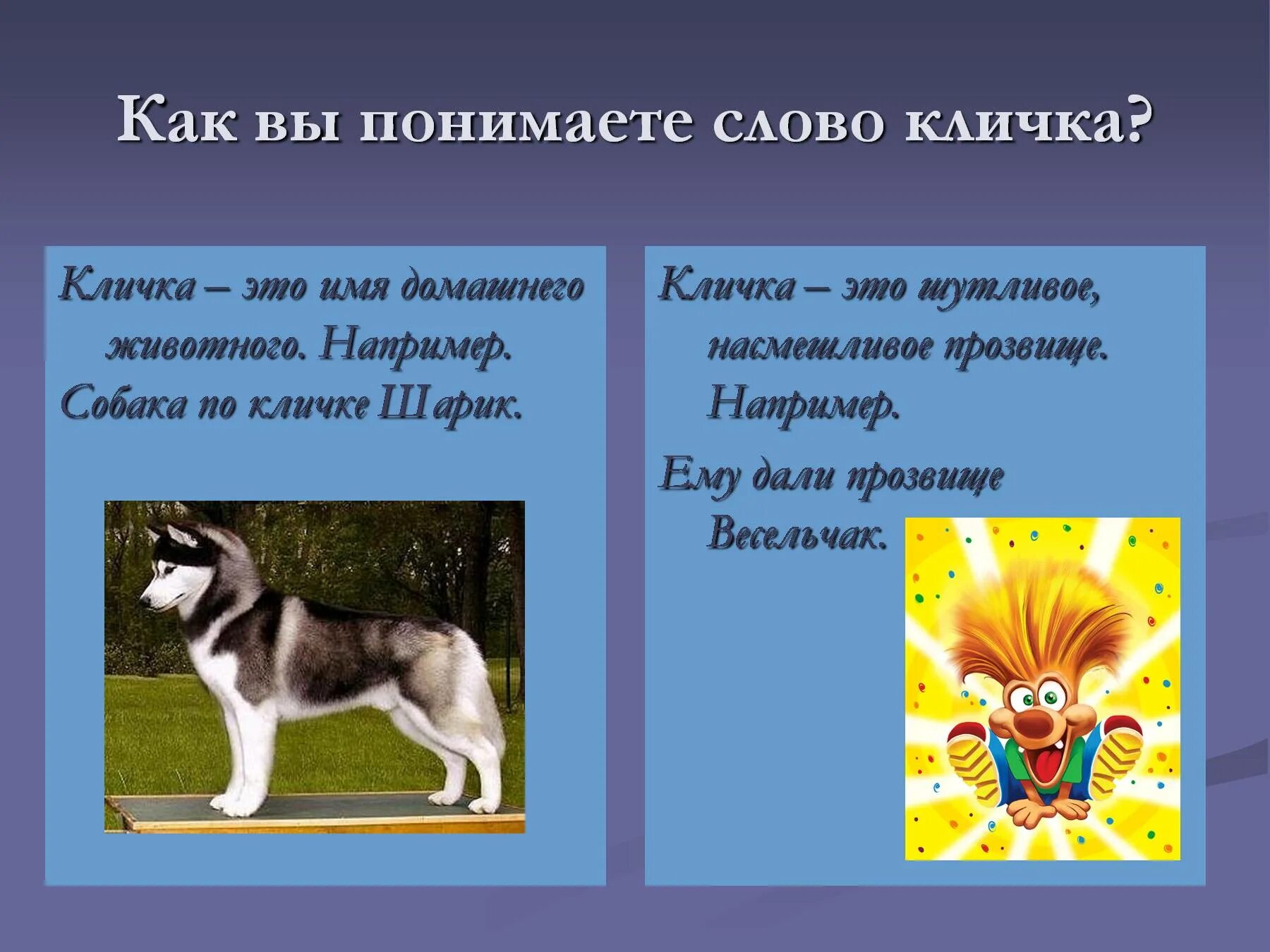 Заглавная буква в кличках животных. Клички животных. Клички домашних питомцев. Прозвища животных