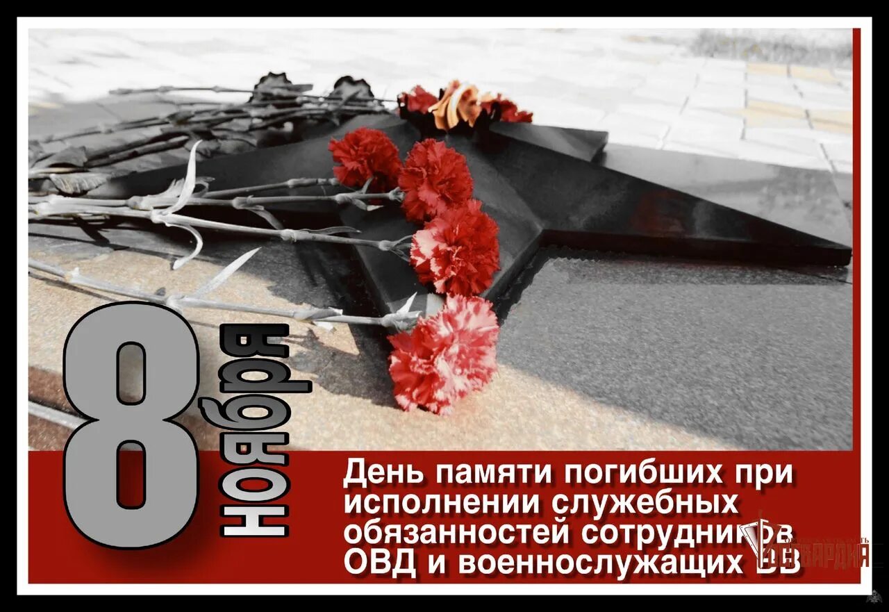 При исполнении служебных обязанностей 3