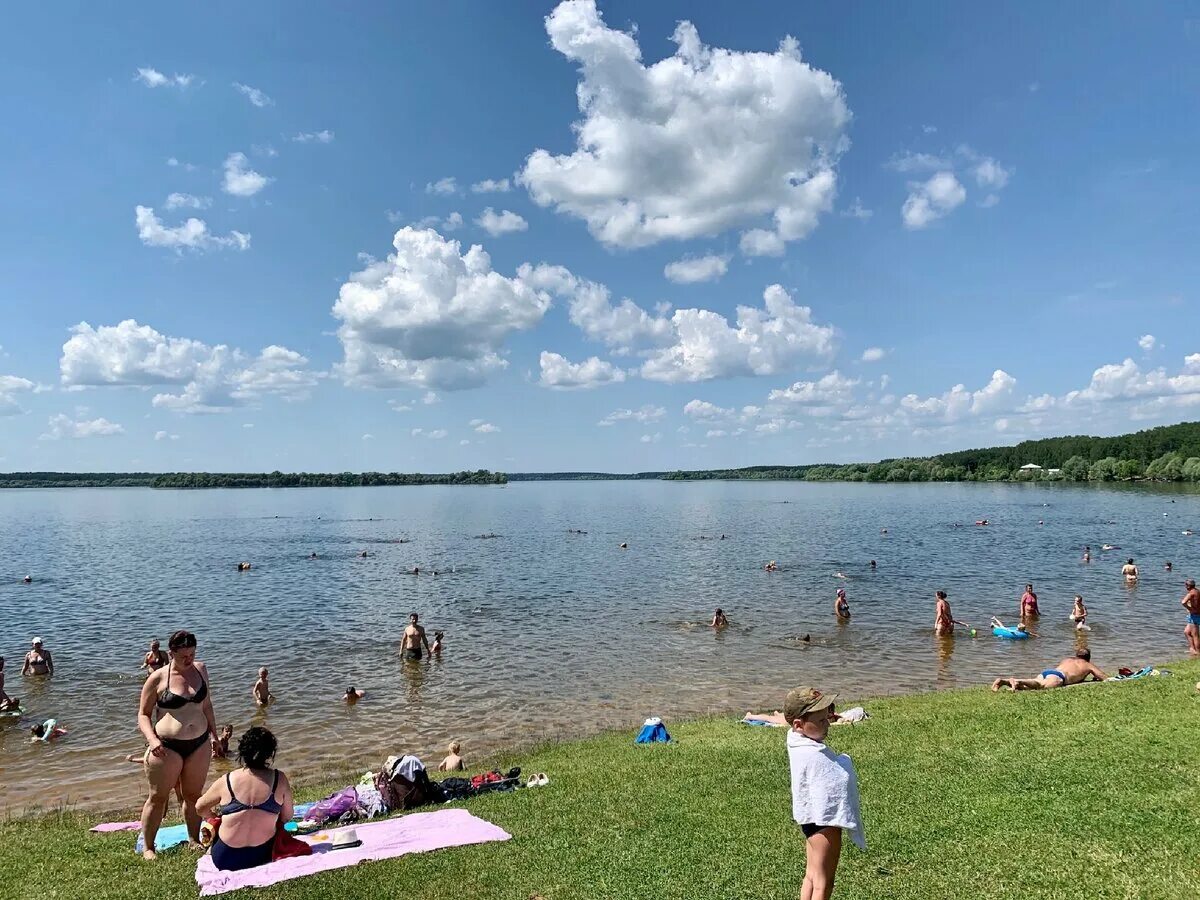 Какие озера можно купаться. Можайское море-водохранилище. Можайское море Ильинский пляж. Можайск водохранилище пляж. Можайское водохранилище.