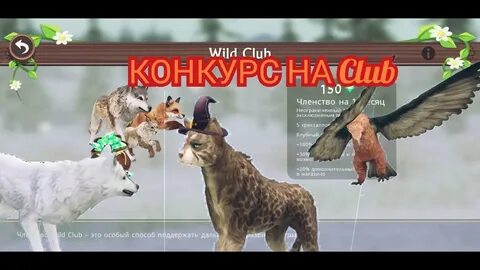 Мифы в вилд