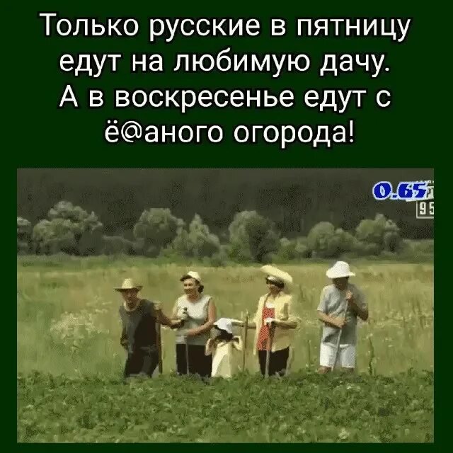 Ехать в воскресение. Попутчикиддо челябинска. Вербное воскресенье православный праздник. Ехать в воскресение. В воскресенье поедем.
