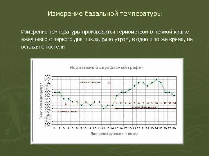 Измерение базальной температуры в гинекологии. Измерение базальной температуры производят для определения. Измерение базальной температуры для определения овуляции. Измерение базальной температуры алгоритм. Как определить базальную температуру