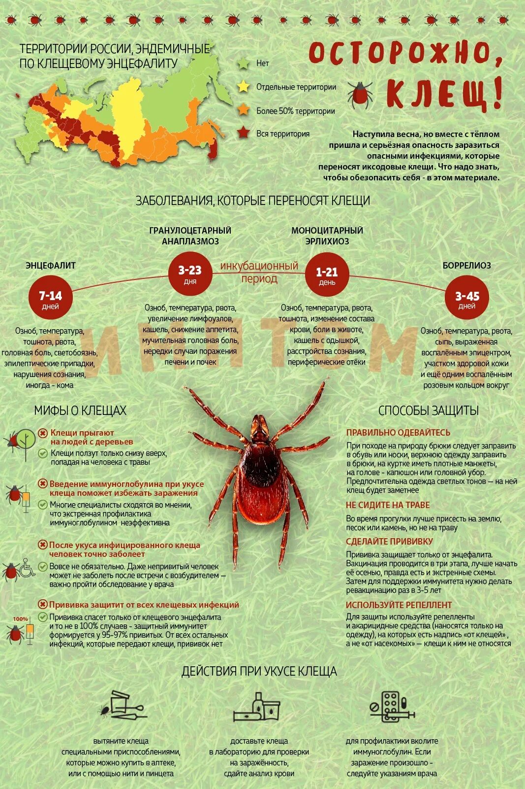 Укус энцефалит клещевой энцефалит. Клещевой энцефалит инфографика. Памятка по вакцинации клещевого энцефалита. Профилактика болезни клещей. Можно ли заболеть энцефалитом