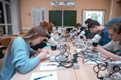 Региональный тур олимпиады